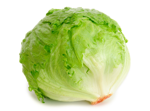 Lettuce iceberg